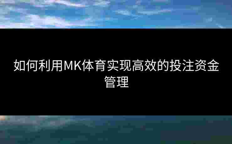 如何利用MK体育实现高效的投注资金管理